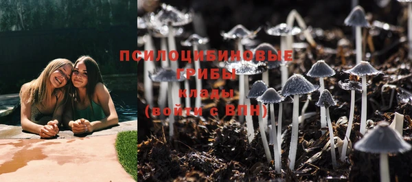 мяу мяу мука Балахна