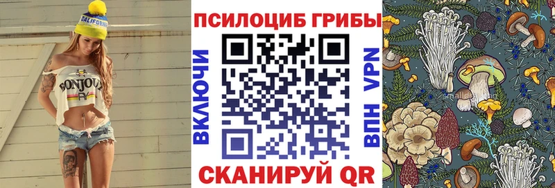 Псилоцибиновые грибы мухоморы  Лахденпохья 