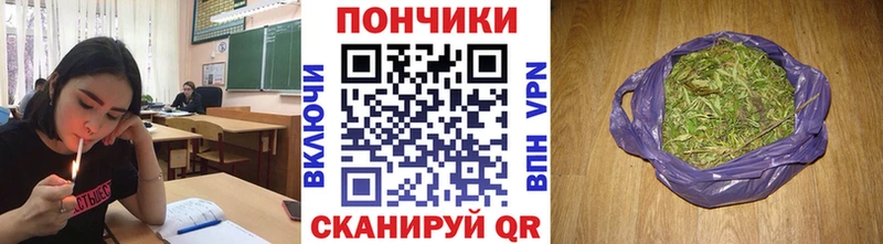 как найти закладки  Лахденпохья  блэк спрут маркетплейс  Канабис планчик 